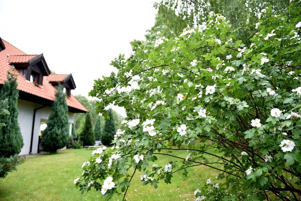Biały Młyn